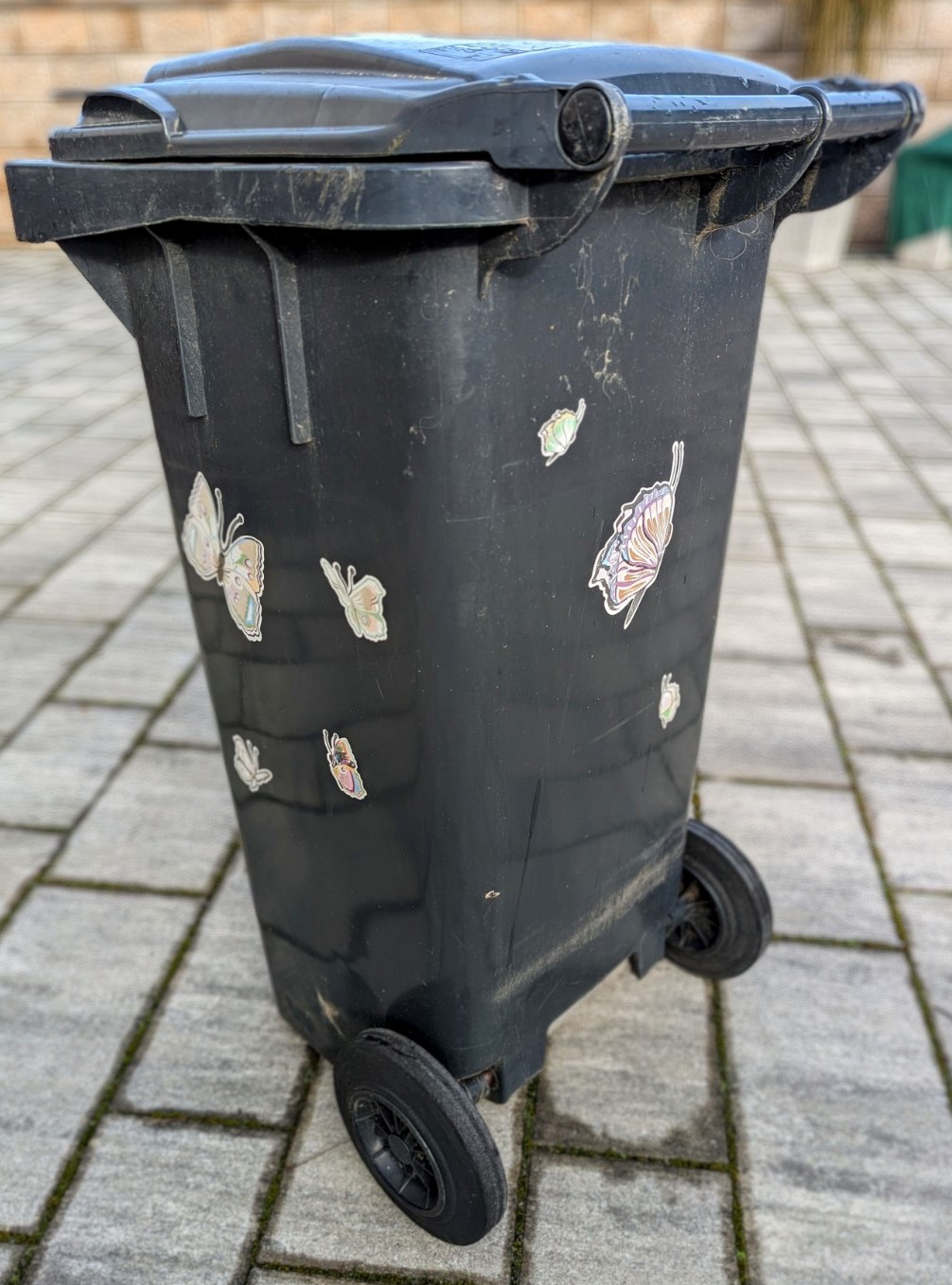 Veränderungen in der Müllabfuhr und Kinderärztemangel im Landkreis